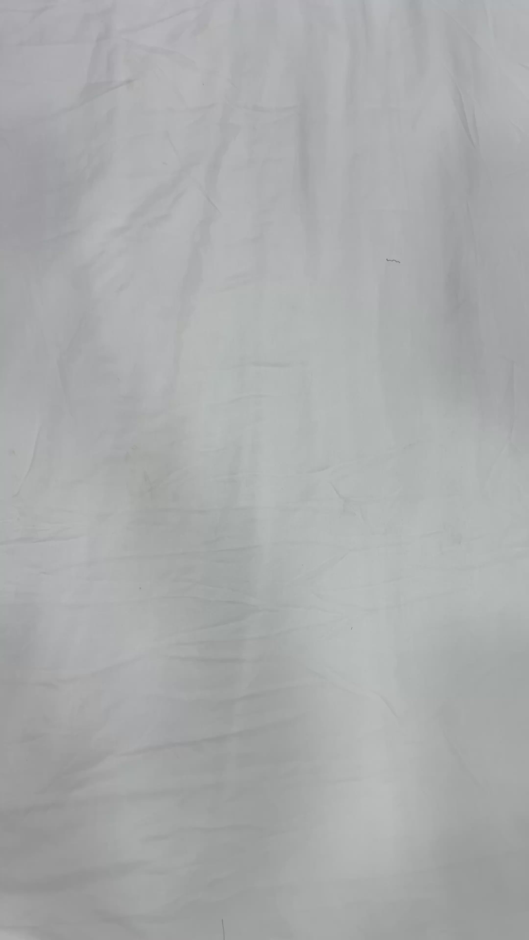 Pure viscose georgette saree with embroidered blouse